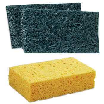 Sponges