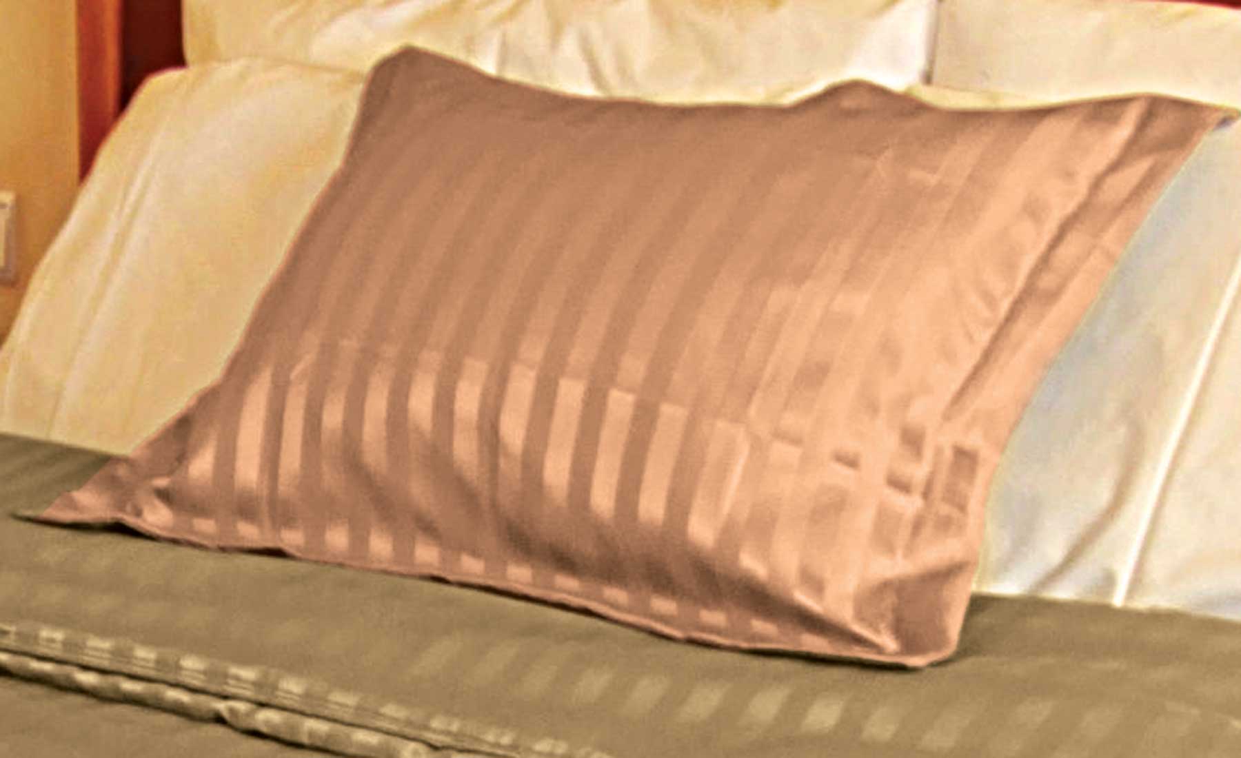 Camel Pillow Sham