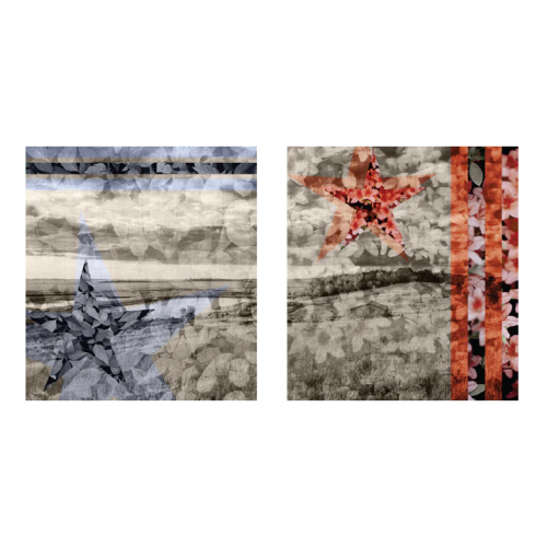 AmericInn, Guest Room Art at Side Wall, 24x25, Set of 2