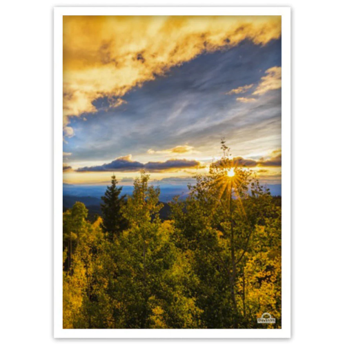 Days Inn Bathroom Art, 14"W x 20"H x 3/4" D, Option D