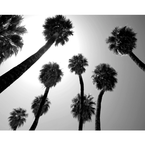 Super 8 Elev8te 2.0, Headboard Art, Full 54w x 1d x 58h, w/ No Border (Specify Image #) - REPLACEMENTS only