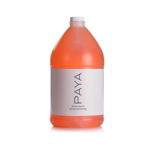 PAYA Shampoo, 1 gal, 4/CS